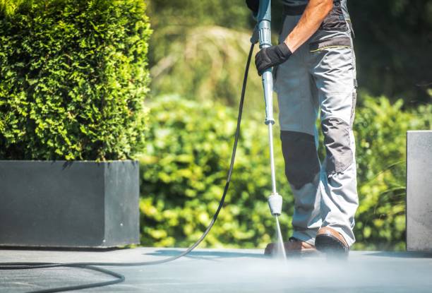 Best Graffiti Removal  in Rendon, TX