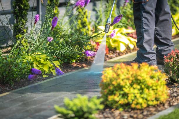 Best Gutter Cleaning  in Rendon, TX