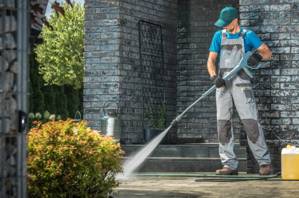 Best Roof Washing  in Rendon, TX
