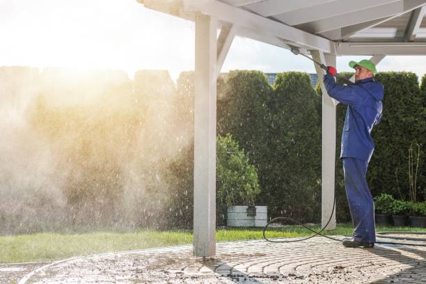 Best Animal Enclosure Cleaning  in Rendon, TX